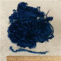Suri Alpaca Bright blue  1% 4-6" cria wool   1 oz 24849