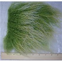 2" sq Bright green frosted tibetan lambskin wig No seam  B grade 24997
