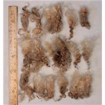 Mohair raw white 3-5" wavy - crimpy  yearling locks 2 lb 12 oz spin dye  25160