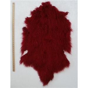 full pelt fine carmine red Tibetan lambskin  24549