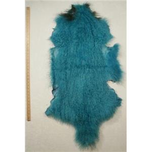 Quarter pelt Turquoise Tibetan lambskin  24575