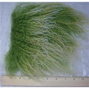 2" sq Bright green frosted tibetan lambskin wig No seam  A 24996