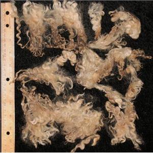 Mohair raw white fine adult crimpy curls 8 .5 oz oz 3-6" 25108