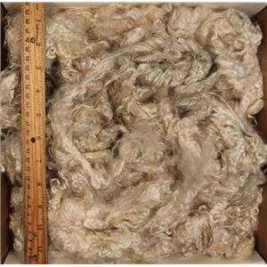 kid -yearling mohair curls washed 3-6" doll wigs,weft,fairies or rooting  25289