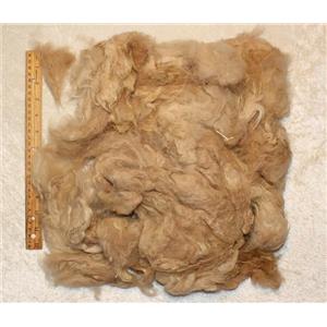 Washed Llama wool Beige to spin or felt 5 oz 25435