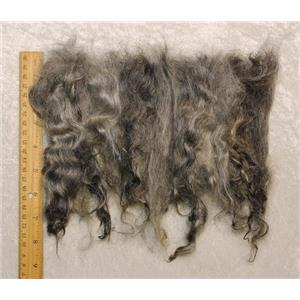 mohair washed sorted salt and pepper gray adult angora goat 6-9"  1 oz 25455