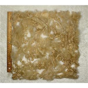 Suri Alpaca beige  3-6" washed wool   1 oz 25493