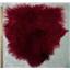 Half pelt Cherry red Tibetan lambskin  25103