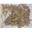 natural blonde light angora goat Mohair soft wave 3-6" 1 oz  26098