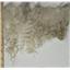mohair combed to dye, white fine silky adult angora goat 6-11' 1 oz 26756