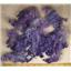 Cotswold lamb wool locks dyed rainbow violet/ blue 1 oz