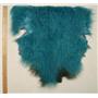 Half pelt Turquoise 2 tone  Tibetan lambskin 24665