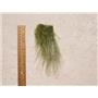 Bright green frosted Tibetan lamskin scrap /sample size 25457