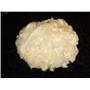 1 oz un dyed soy silk fiber natural  pale golden 22524