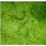 2" spring green tibetan lambskin no seams wig 22753