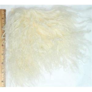5 1/2 x 3 5/8 + " Natural White Tibetan lamb skin 4-6' hair 26871