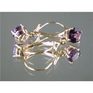 14k Gold Leverback Earrings, Amethyst, E017