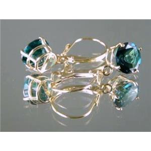 E117, Paraiba, 14k Gold Earrings