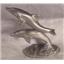 Pewter Dolphins Spoontiques PP442 & 113 Collectible