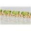 B002, Peridot Gold Bracelet