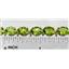 B002, Peridot Gold Bracelet