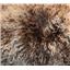 3" sq brown with beige tips curly 4-5"  tibetan lambskin corner seam 26849