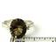 925 Sterling Silver Ladies Ring, Smoky Quartz, SR136