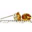 925 Sterling Silver Post Earrings, Citrine, SE002