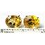 14k Gold Post Earrings, Citrine, E102