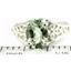 Sterling Silver Ladies Ring, Green Amethyst, SR005