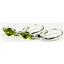925 Sterling Silver Leverback Earrings, Peridot, SE001