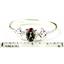 SR192, Mystic Fire Topaz, 925 Sterling Silver Ring