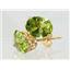 14k Gold Post Earrings, Peridot, E002