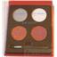 2 Sue Devitt EyeShadow Lipgloss Palette 1 each Naughty & Nice NIB