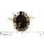 10K, 14K or 18K Gold Ladies Ring, Smoky Quartz (Concave Cut), R055