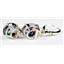 925 Sterling Silver Leverback Earrings, Mystic Fire Topaz, SE107