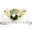 10K, 14K or 18K Gold Ladies Ring, Green Amethyst (Prasiolite), R005