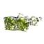 925 Sterling Silver Post Earrings, Peridot, SE012