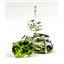 925 Sterling Silver Post Earrings, Peridot, SE002