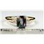 10K, 14K or 18K Gold Ladies Ring, Mystic Fire Topaz, R171
