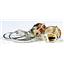 925 Sterling Silver Leverback Earrings, Citrine, SE107