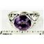 925 Sterling Silver Ladies East-West Ring, Amethyst, SR360