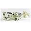 925 Sterling Silver Post Earrings, Green Amethyst, SE012