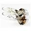 925 Sterling Silver Leverback Earrings, Smoky Quartz, SE117