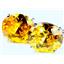 925 Sterling Silver Earrings, Golden Yellow CZ, SE207