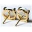 14k Gold Post Earrings, Created White Opal, E102C