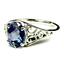 Sterling Silver Ladies Ring, Neptune Garden Topaz, SR005