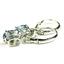 925 Sterling Silver Leverback Earrings, Neptune Garden Topaz, SE007