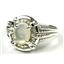 SR284, Mother of Pearl, 925 Sterling Silver Ring