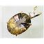 P018, Smoky Quartz 14k Gold Pendant